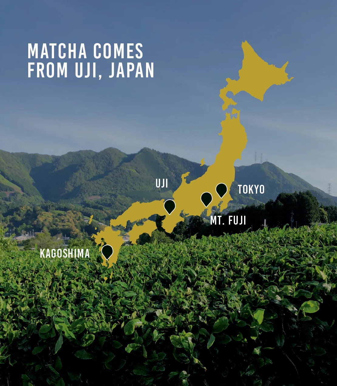 Organic Matcha - Image 3